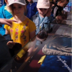 Muzeum Marii Konopnickiej 